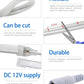 12V Waterproof IP67 120LED/m Neon LED Strip - Blue
